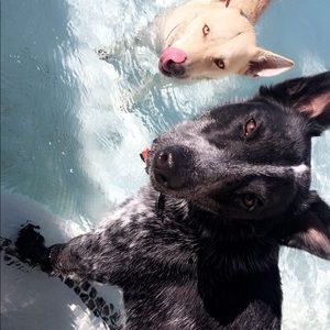 Meet your Posher, Molly